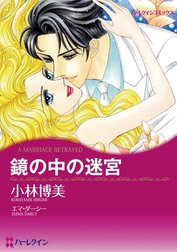 鏡の中の迷宮 （分冊版）