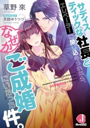 サディスティックな社長とエレベーターに閉じ込められたら、 なぜかご成婚にいたった件。