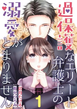 お見合い相手はSSSレア!?【単話売】 お見合い相手はSSSレア!? 29歳家事