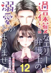 過保護なエリート弁護士の溺愛がとまりません【分冊版】