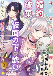 身に覚えのない理由で婚約破棄されましたけれど、仮面の下が醜いだなんて、一体誰が言ったのかしら？