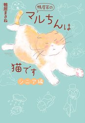 鴨居家のマルちんは猫です