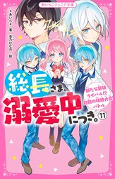 総長さま、溺愛中につき。 総長さま、溺愛中につき。 （11）新た