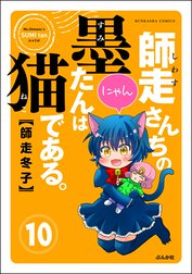 師走さんちの墨たんは猫である。（分冊版）