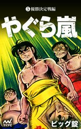 やぐら嵐の作品一覧｜ビッグ錠｜LINE マンガ