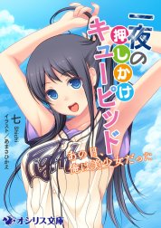 一夜の押しかけキューピッド－あの日、俺は美少女だった－