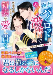 極上パイロットはあふれる激情で新妻を愛し貫く～お前のすべてが愛おしい～