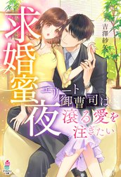 求婚蜜夜～エリート御曹司は滾る愛を注ぎたい～