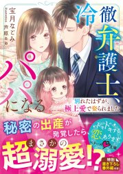 冷徹弁護士、パパになる～別れたはずが、極上愛で娶られました～