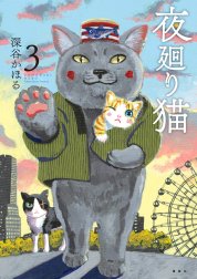 夜廻り猫