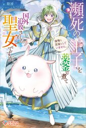 「瀕死の王子を薬釜で煮て国外追放された聖女ですが、後悔も反省もしていません。」シリーズ