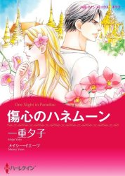 傷心のハネムーン （分冊版）