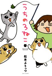 うちの３ねこ