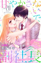 甘やかさないで副社長　～ダンナ様はＳＳＲ～　分冊版