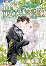 富豪と灰かぶりの花嫁 （分冊版）