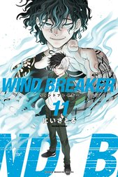 ＷＩＮＤ　ＢＲＥＡＫＥＲ