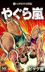 やぐら嵐の作品一覧｜ビッグ錠｜LINE マンガ