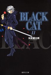 BLACK CAT