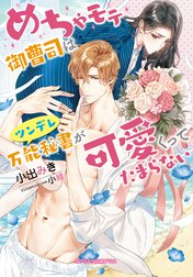 めちゃモテ御曹司はツンデレ万能秘書が可愛くってたまらない【特典付き】