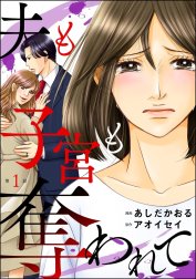 夫も子宮も奪われて（分冊版）