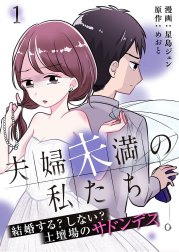 夫婦未満の私たち～結婚する?しない?土壇場のサドンデス