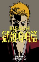 BLEACH 獄頤鳴鳴篇 カラー版