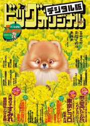 ビッグコミックオリジナル増刊