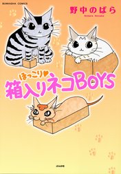 ほっこり・箱入りネコBOYS