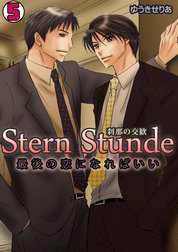 Stern Stunde-刹那の交歓～最後の恋になればいい～