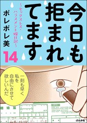 今日も拒まれてます～セックスレス・ハラスメント 嫁日記～