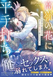 高嶺の花に平手打ち 一夜限りのはずが、敏腕社長の淫らな独占愛に捕らわれました