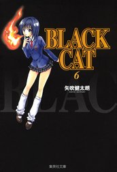 BLACK CAT