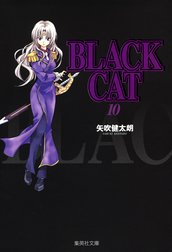 BLACK CAT