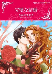 完璧な結婚 （分冊版）