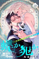 蝶か犯か　～極道様　溢れて溢れて泣かせたい～　分冊版