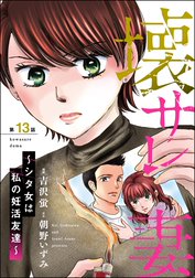 壊サレ妻 ～シタ女は私の妊活友達～（分冊版）