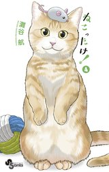 ねこったけ！