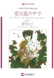 愛は嵐の中で （分冊版）