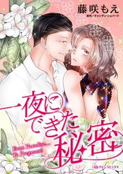 一夜にできた秘密 （分冊版）