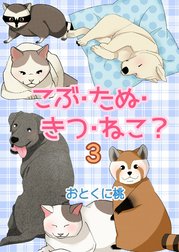 こぶ・たぬ・きつ・ねこ？