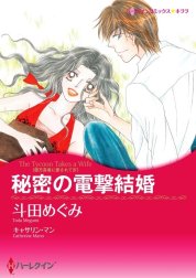 秘密の電撃結婚 （分冊版）