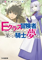 Eクラス冒険者は果てなき騎士の夢を見る