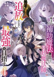 味方が弱すぎて補助魔法に徹していた宮廷魔法師、追放されて最強を目指す