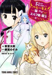 Sランクモンスターの《ベヒーモス》だけど、猫と間違われてエルフ娘の騎士(ペット)として暮らしてます