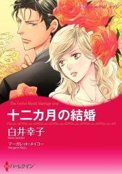 十二カ月の結婚 （分冊版）