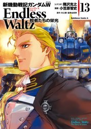 新機動戦記ガンダムＷ Endless Waltz 敗者たちの栄光