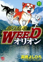 銀牙伝説WEED　オリオン