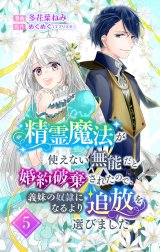 精霊魔法が使えない無能だと婚約破棄されたので、義妹の奴隷になるより追放を選びました